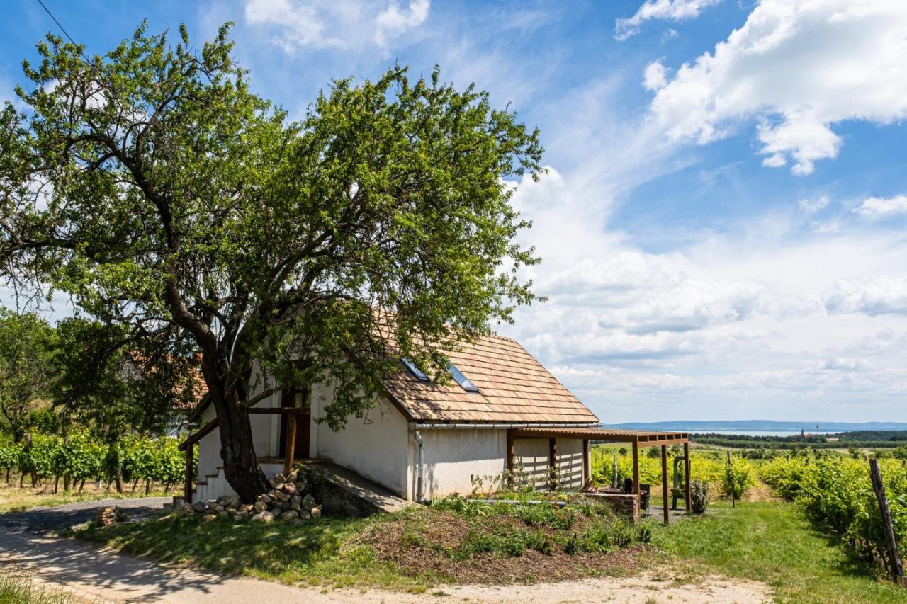 Tagyon Birtok Mandula Apartmanhaz Luaran gambar